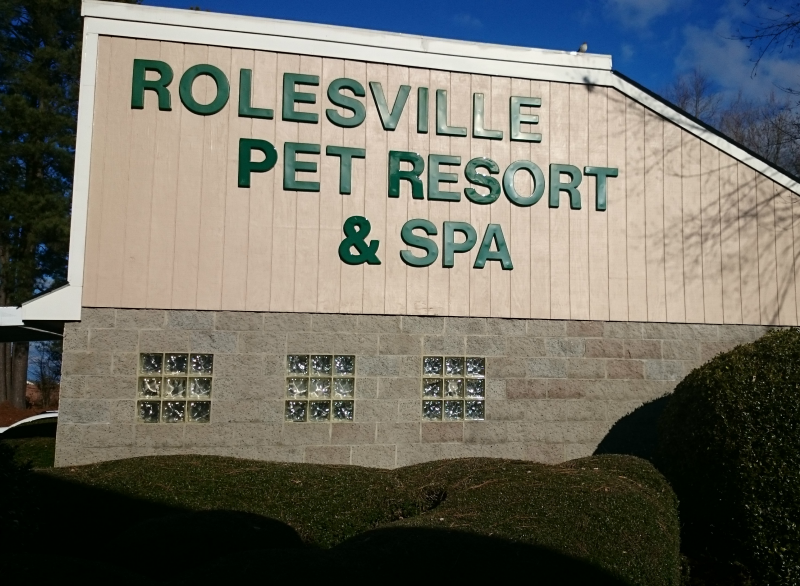 pet resort and spa